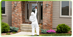 Nous sommes experts depuis plusieurs années comme exterminateur et nos résultats d'extermination sont garantie et nos exterminateurs desserve la grande région de Granby